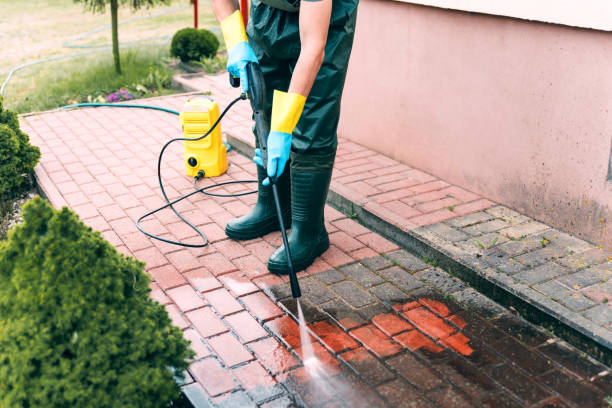 Best Window and Screen Pressure Cleaning in Lexington, TN