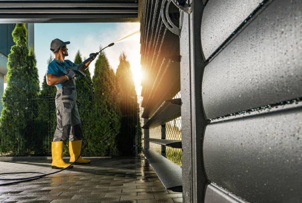 Best Driveway Cleaning and Restoration in Lexington, TN