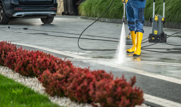 Best Parking Lot Cleaning in Lexington, TN